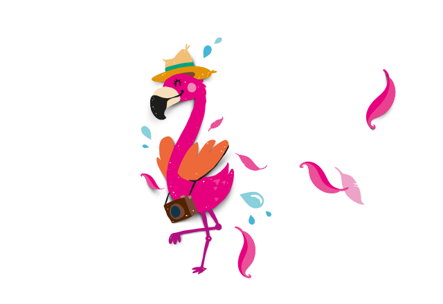Flamingo